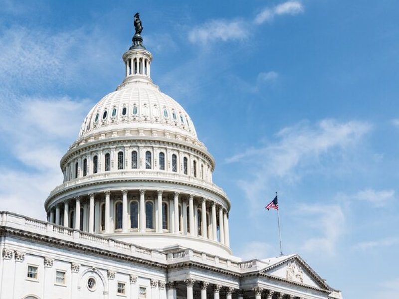 Small Group 1-Day City Tour in Washington D.C.