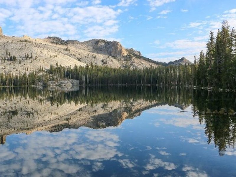 Yosemite and Kings Canyon National Park 2 Day Tour from LA