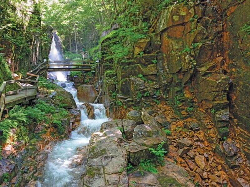 Full-Day Tour from Boston with Lost River and Flume Gorge