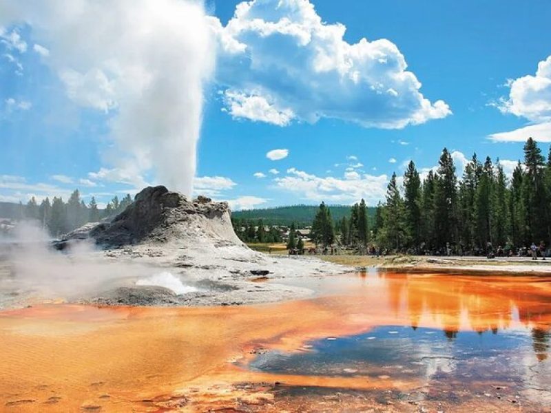 Yellowstone Grand Teton and Coeur d’Alene 5-Day Tour from Seattle