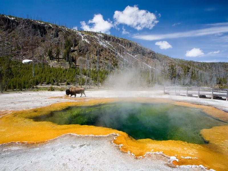 8-Day Tour in San Francisco, Yellowstone, Grand Canyon&Las Vegas