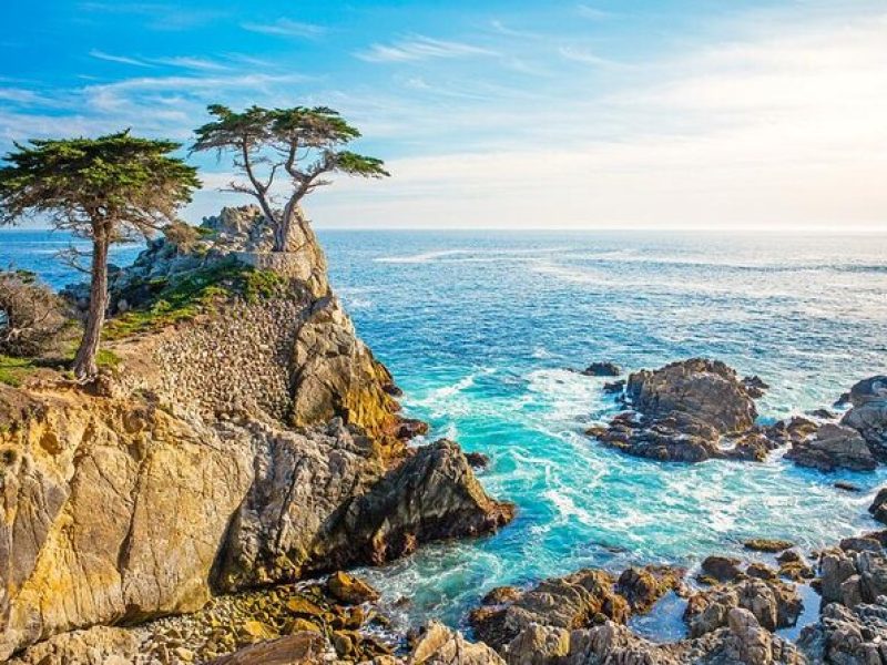 17 Miles and Pebble Beach Tour from Los Angeles to San Francisco