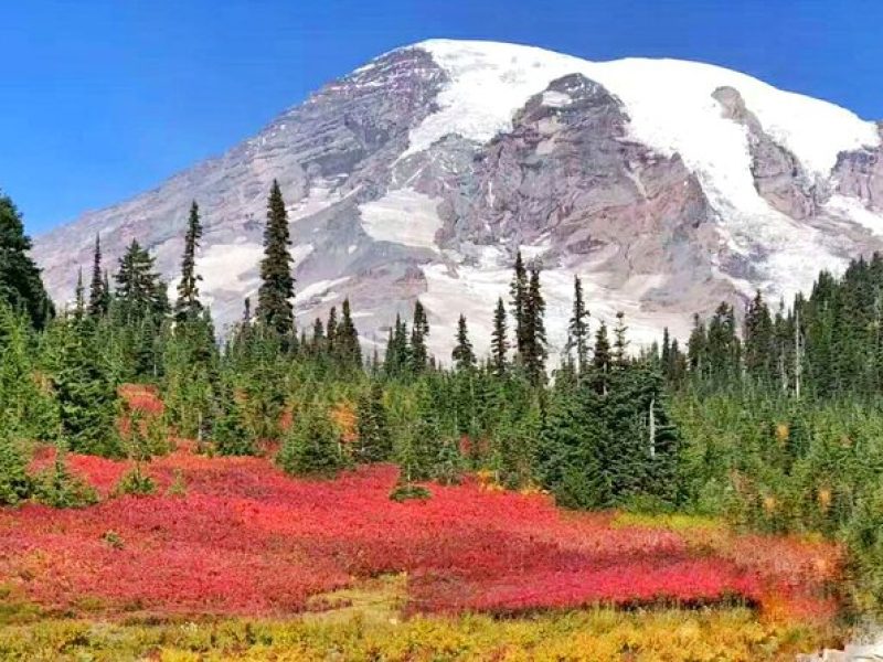 Seattle, Mount Rainier National Park 2-Day Tour from Seattle