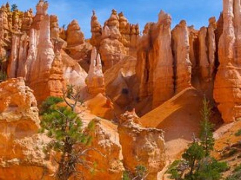 Zion and Bryce Canyon National Park Day Tour from Las Vegas