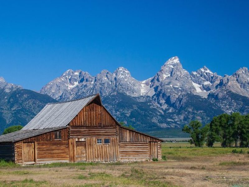 Private Grand Teton Wildlife Safari Tour