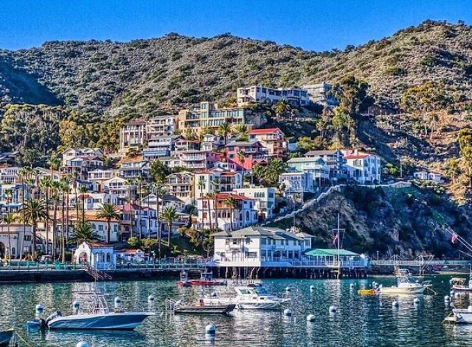 Discover Avalon: Catalina Scenic Tour