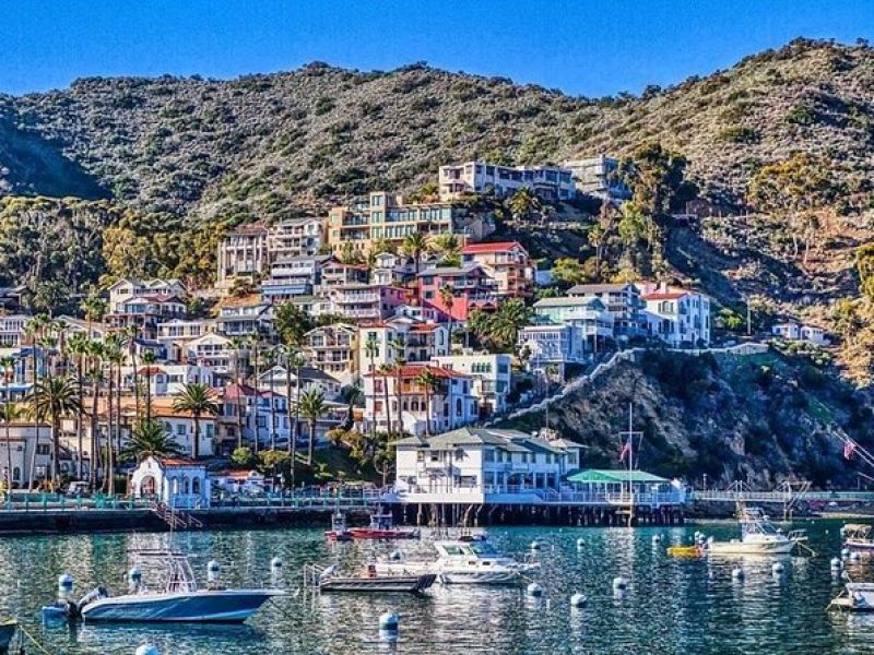 Discover Avalon: Catalina Scenic Tour