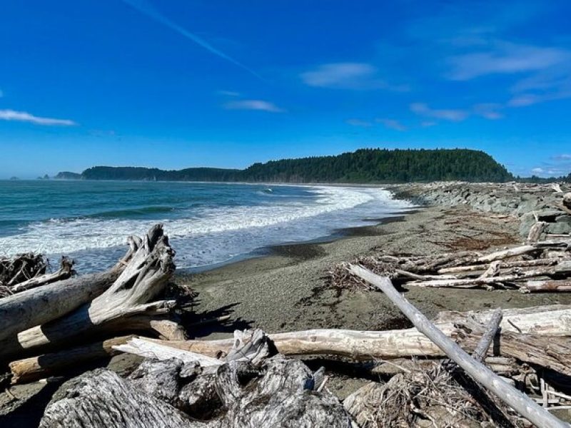 Private Day Hike in the Ozette Triangle