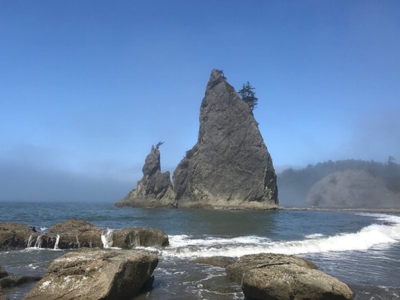 Private Day Hike- Rialto Beach Tide Pooling