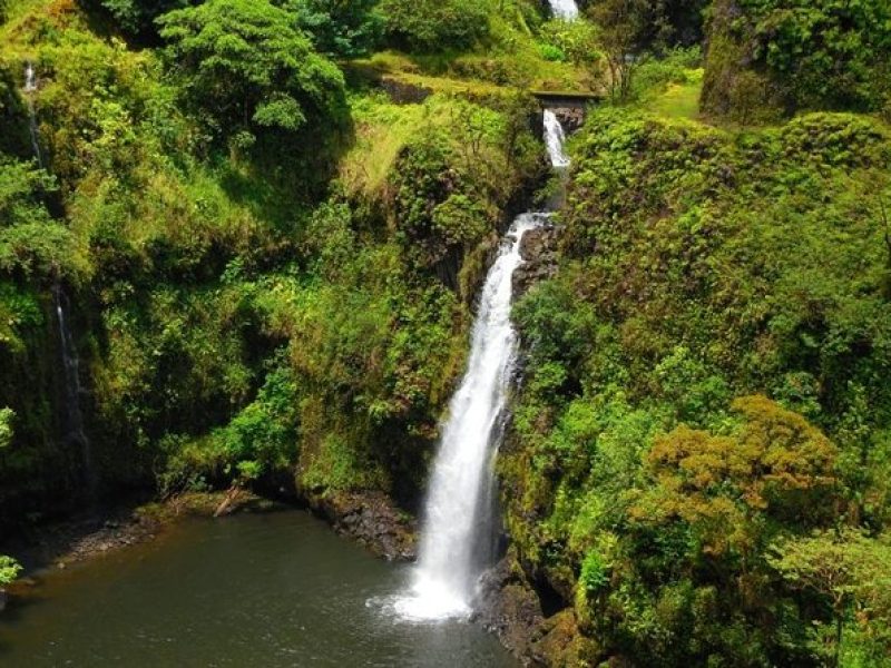 Road to Hana, Black Sand Beach, Waterfalls & Turtles Tour