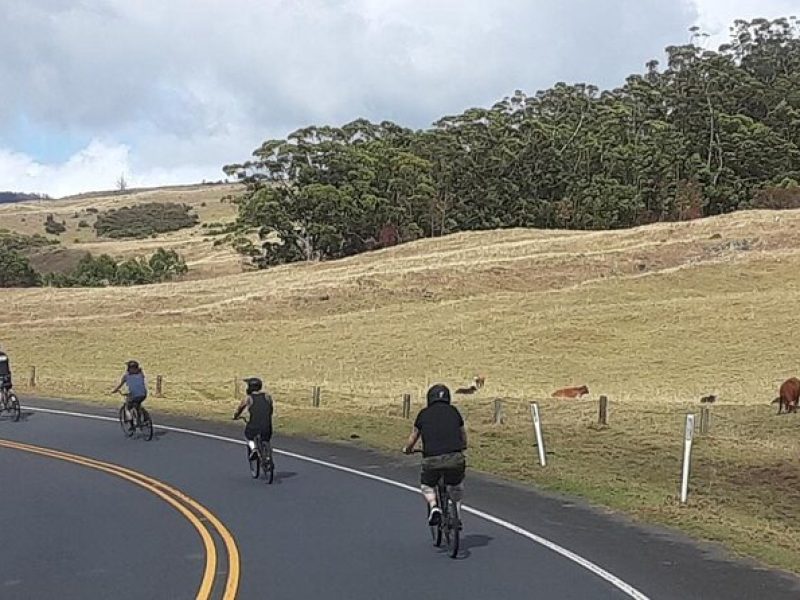 1pm Haleakala Unguided Downhill Tour