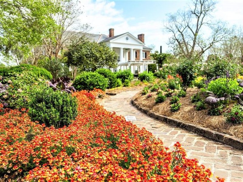 Boone Hall Plantation All-Access Admission Ticket