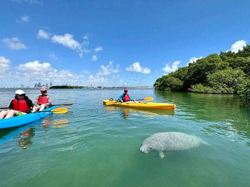 Private Guided Kayak or SUP Eco Adventure