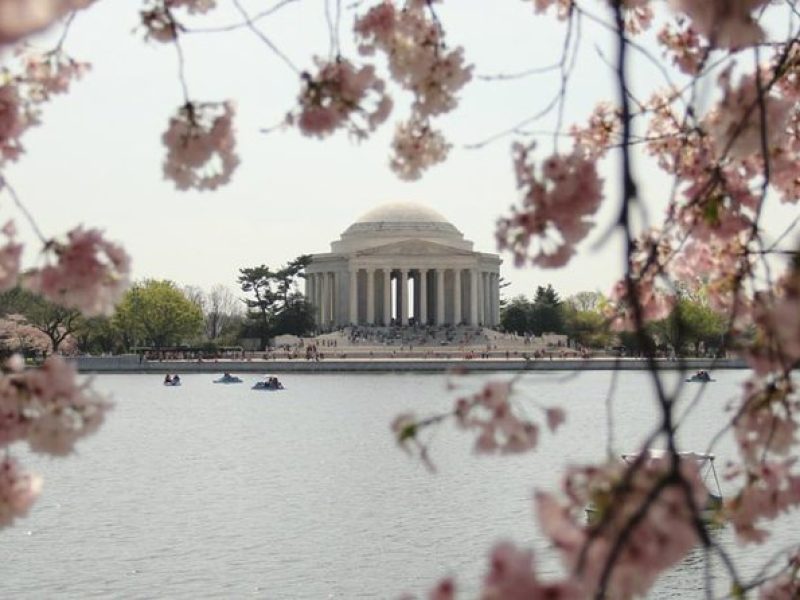 Private Tour to see the Monuments and Memorials in Washington DC