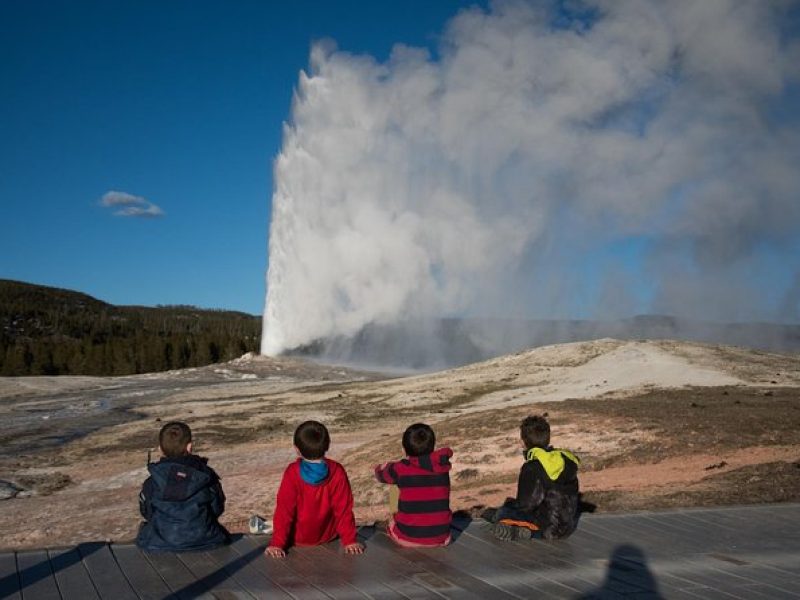 Private Yellowstone Old Faithful and Lower Loop Tour