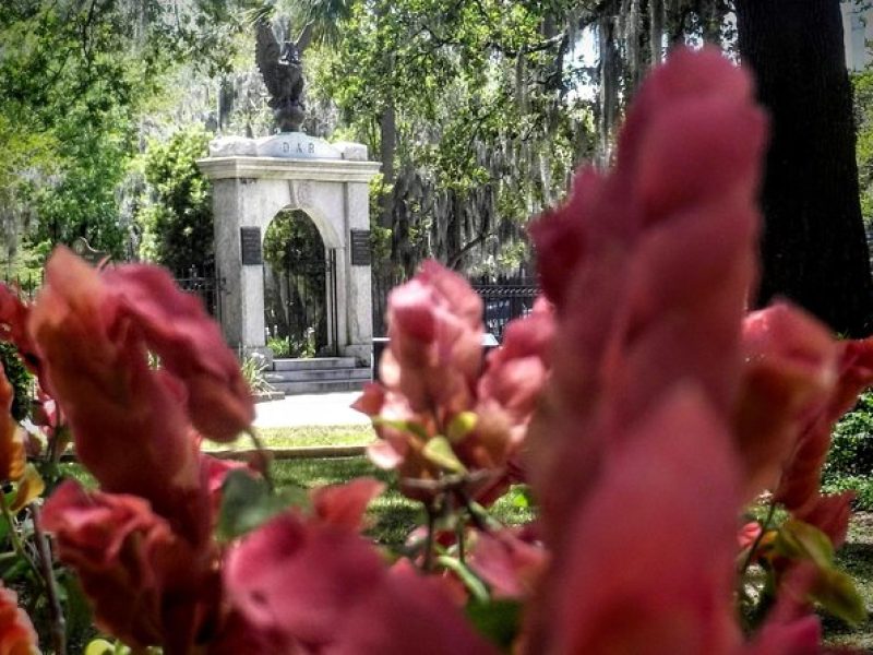 Botanical Tour (by Walk With Me Savannah Tours)