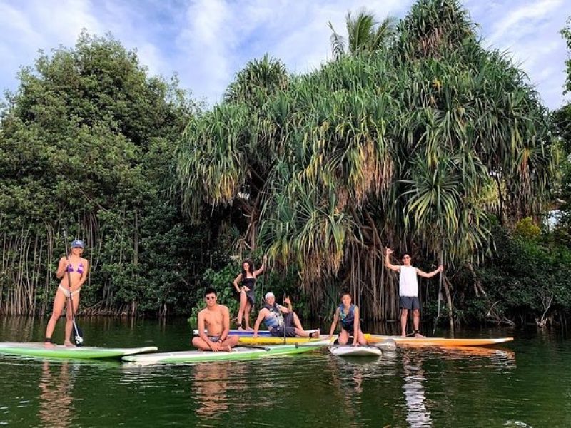 Group Stand Up Paddle Lesson and Tour