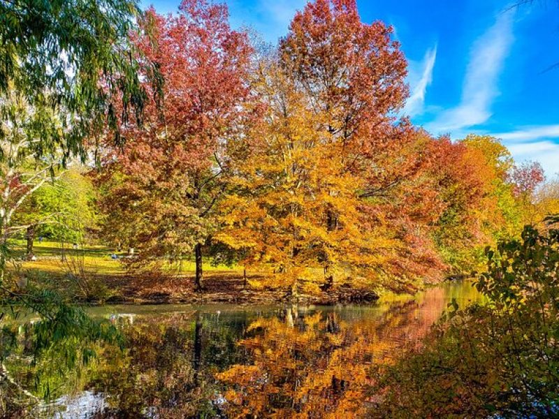 Half-Day Private Walking Tour of Central Park