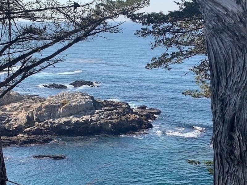 Monterey Carmel Big Sur Pebble Beach by Luxury Vehicle 6 hrs~