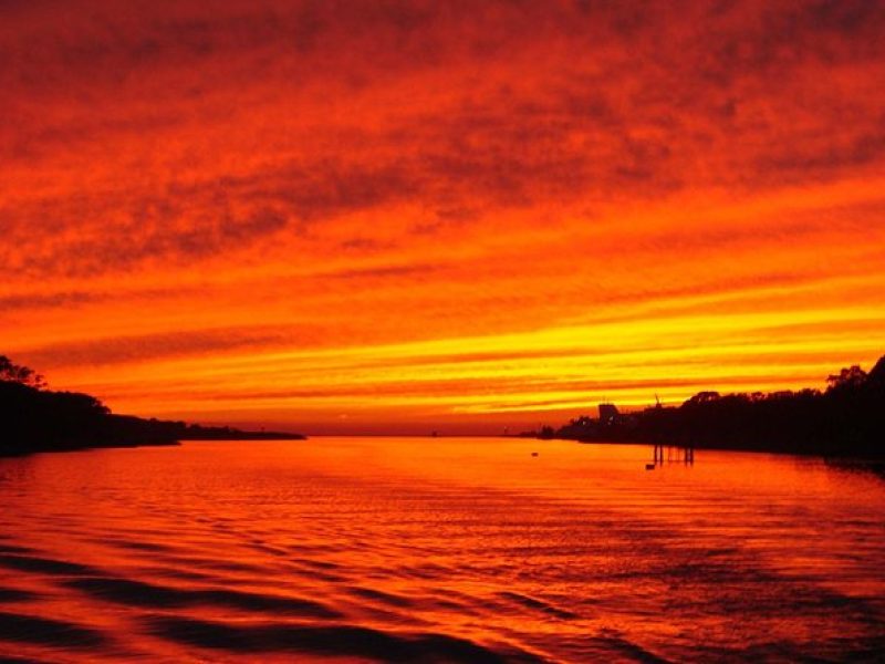 Dinner Cruise with Dolphin and Whale Watching from Cape May