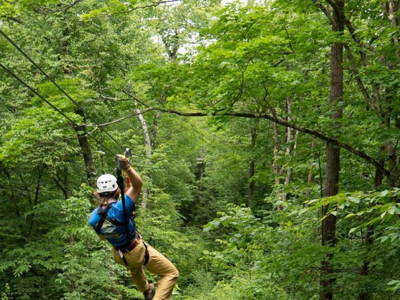 Superman Zipline Tour in Morningside