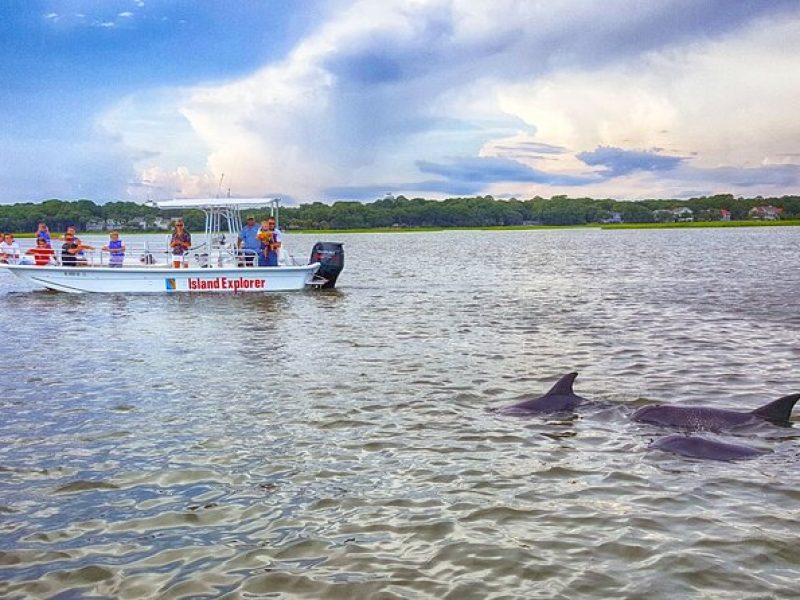 Two Hour Dolphin and Nature Tour