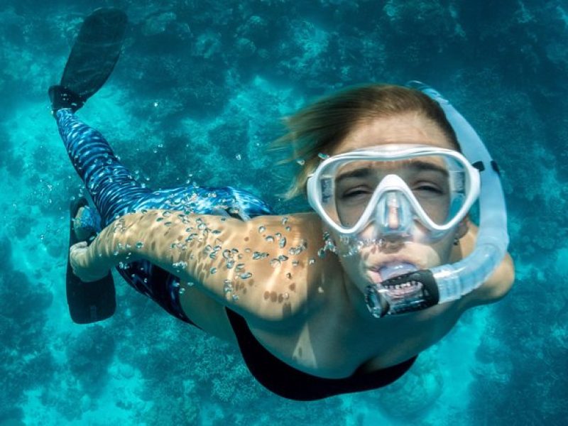 Snorkeling Adventure in La Jolla