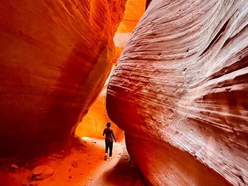 Peek-A-Boo Slot Canyon Tour UTV Adventure (Private)