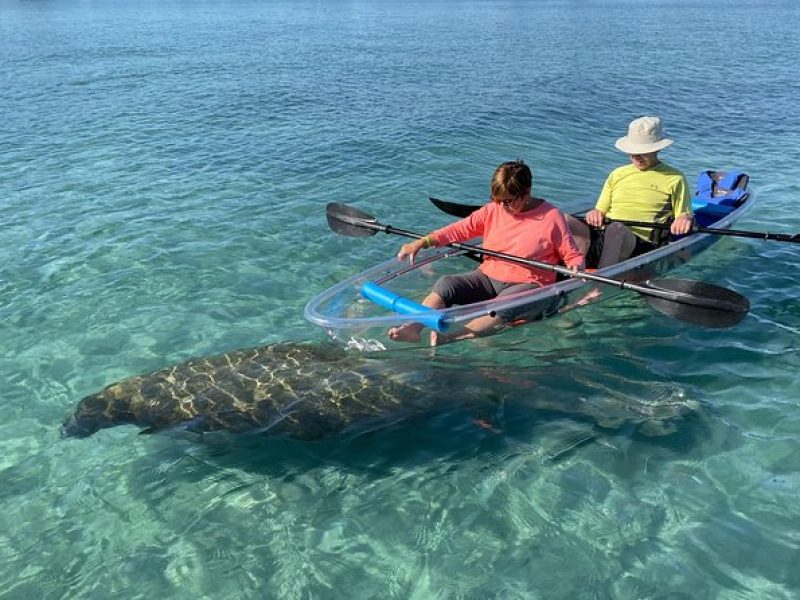 Clear Kayak Tour in Jupiter