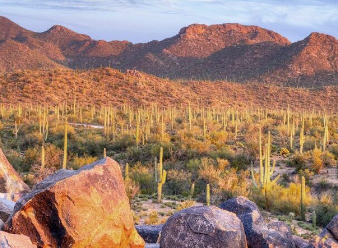 Saguaro National Park East E-Bike Tour