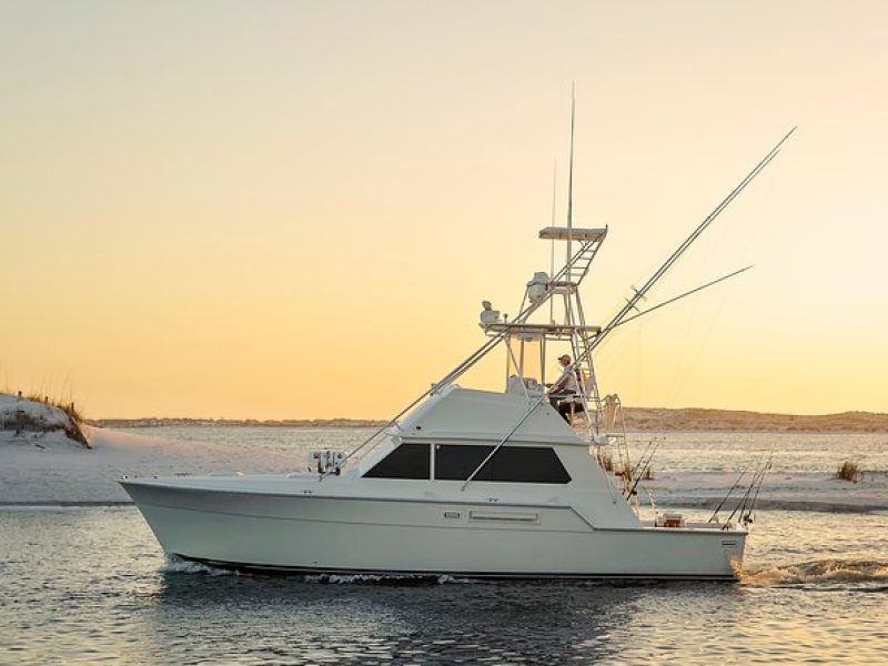 6 Hour Family Fun Fishing Charter on a 42′ Sportfish ,Alibi