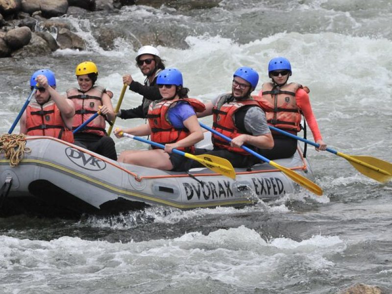 Half-Day Arkansas River – The Numbers Rafting Tour