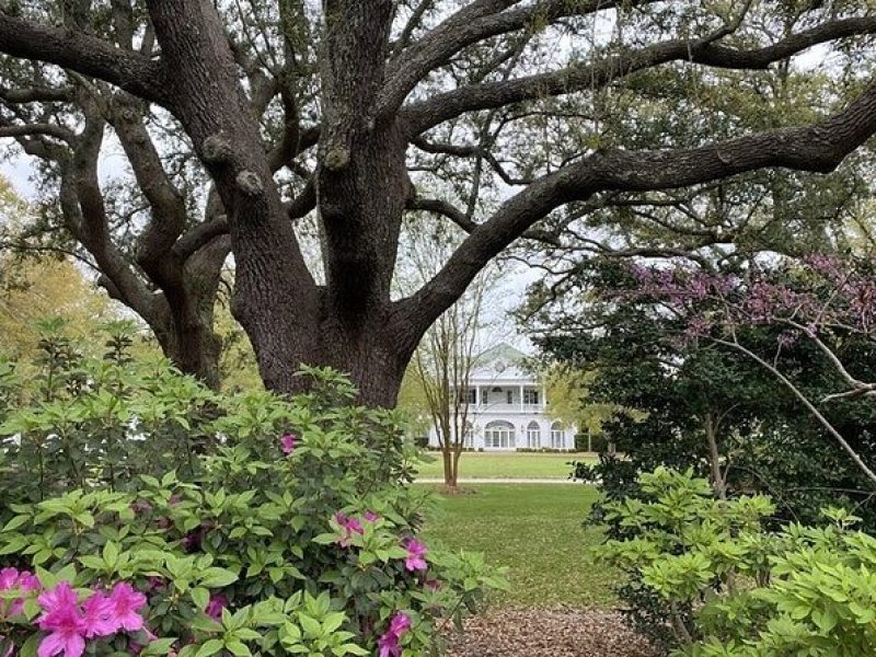 Access Tour to the Cameron House from Outer Banks