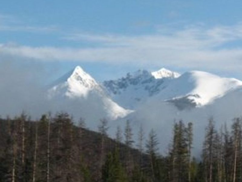 Rocky Mountain National Park Guided Tours from Grand Lake