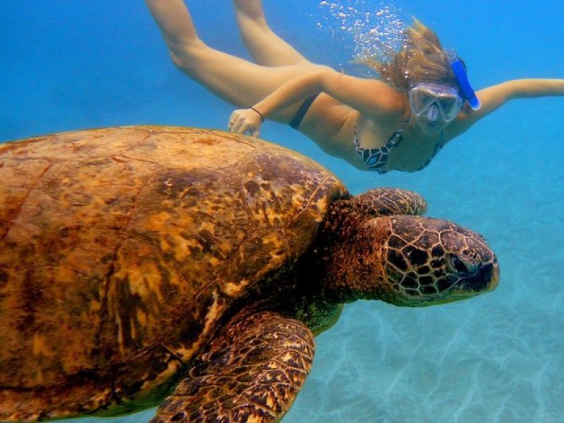 Afternoon Adventure Snorkel from Ka'anapali