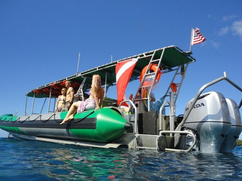 West Maui Snorkeling Experience by Boat from Ka'anapali