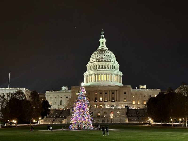 Private Night-Time Tour of Washington DC with a Chauffeur