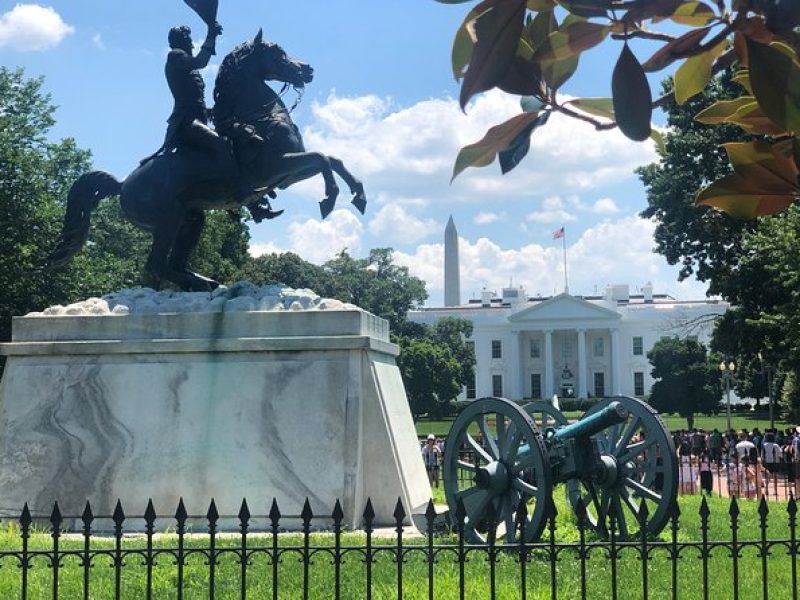 Day Tour: Private Luxury Tour of Washington DC