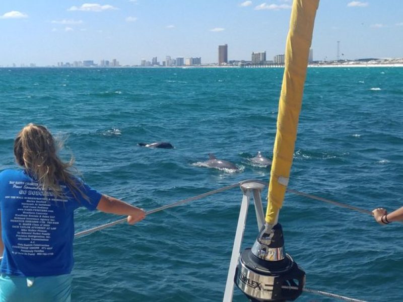 Panama City Beach Dolphin Sightseeing Sail