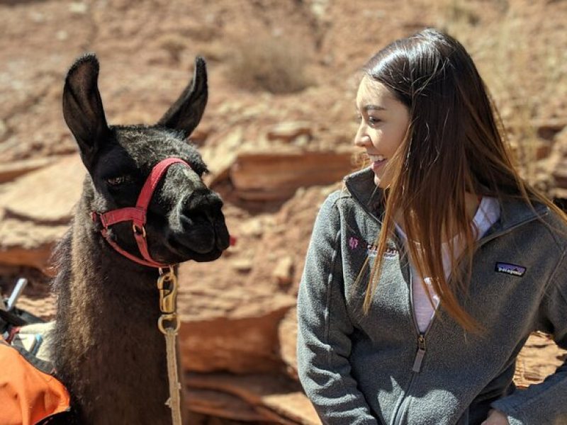 Full-Day Private Guided Llama Hikes