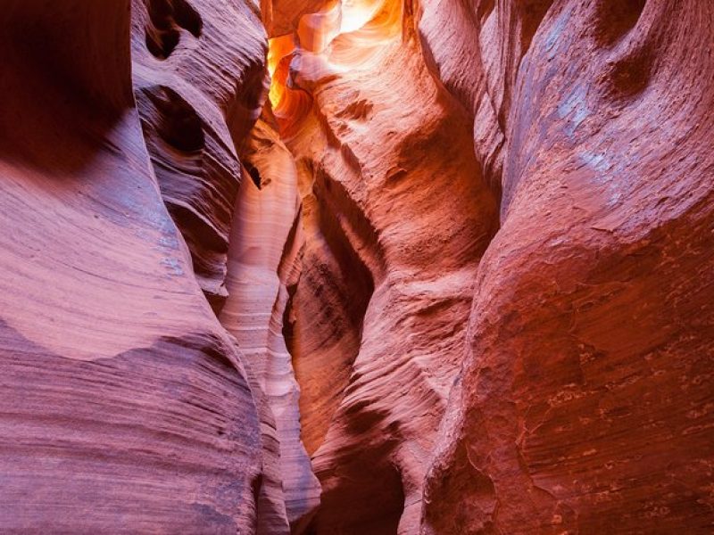 Antelope Canyon X Ticket with Upgrade Option to Photo Tour