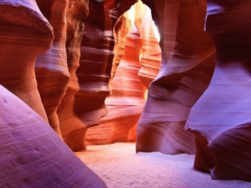 Lower Antelope and Horseshoe Bend Tour from Las Vegas