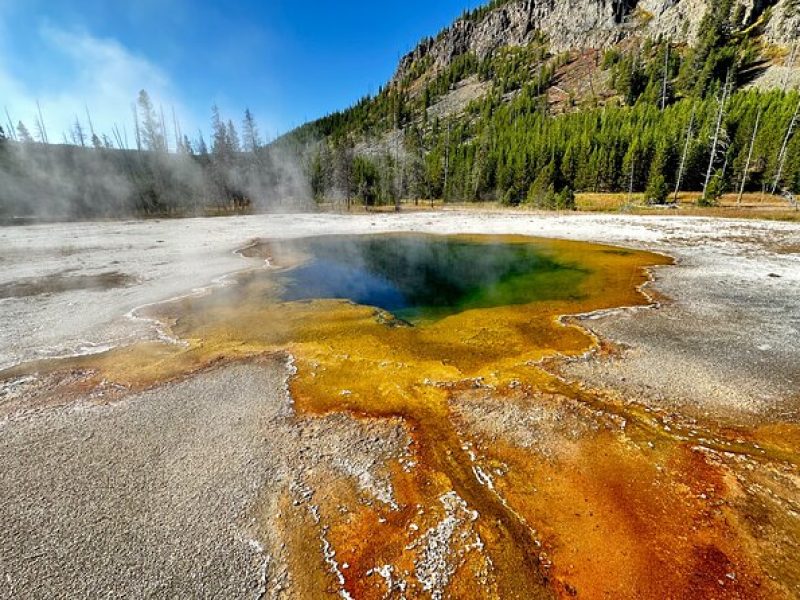 Yellowstone Lower Loop Full-Day Tour