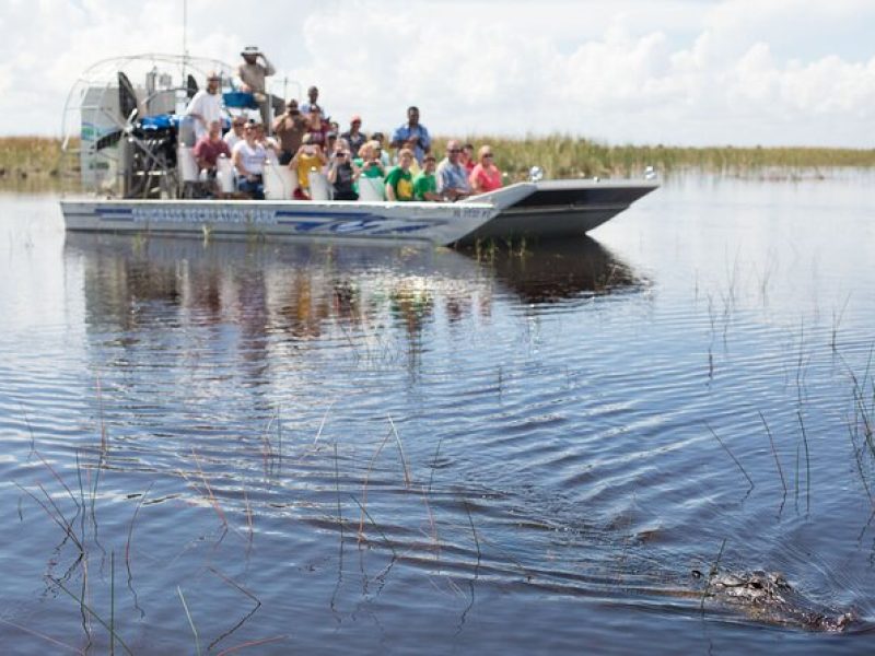 Miami: Everglades Airboat Ride with City Tour and Cruise Add on