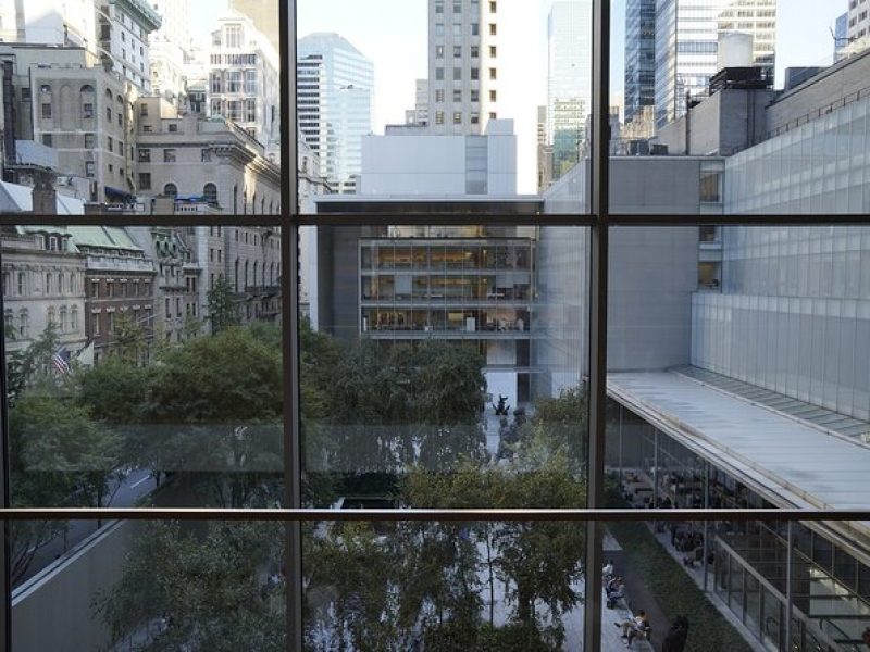 Guided Admission to Modern Art and Metropolitan Museums in NYC