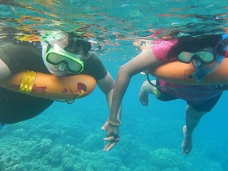 Key West Combo: Hop On Hop Off Afternoon Snorkeling