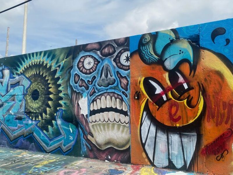 Little Havana and Wynwood Walls District Guided Tour