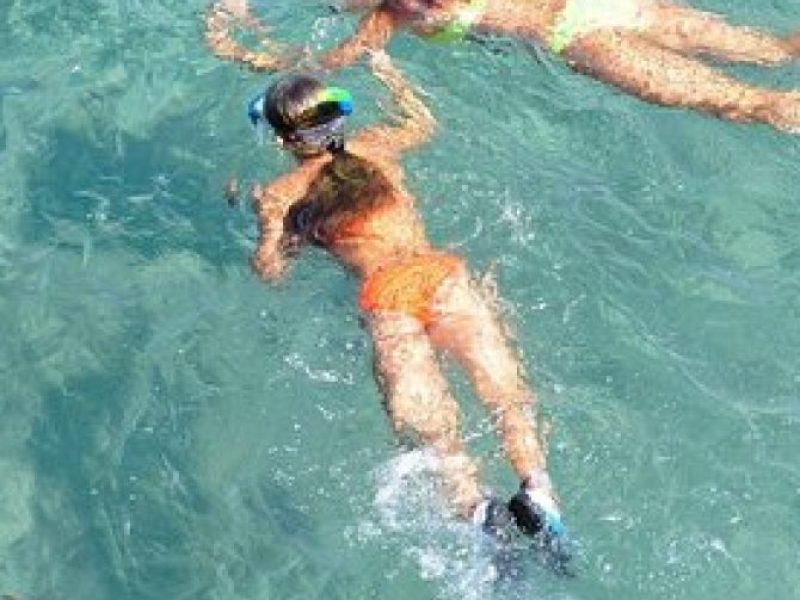 Marathon Key: 3-hour Snorkeling adventure on a Pontoon at Sombrero Reef