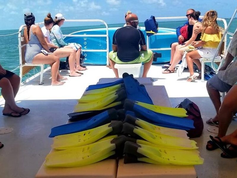 Islamorada: Snorkeling from the Islander Hotel