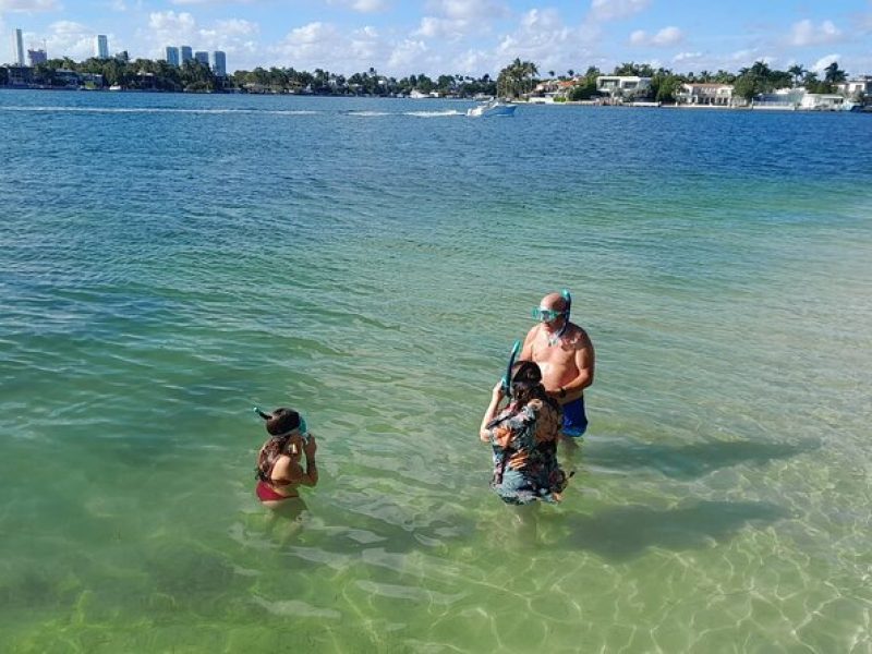 Bayside Market Place Snorkeling for Beginners